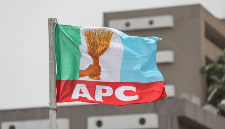 APC Flag